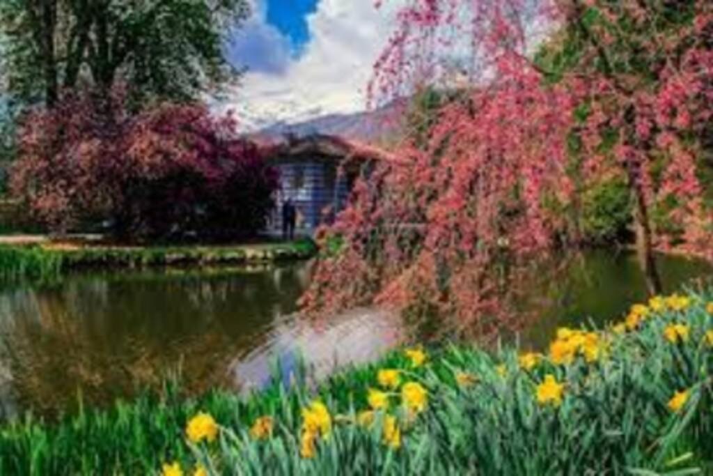 Апартаменты A Casa Di Sissi Биелла Экстерьер фото